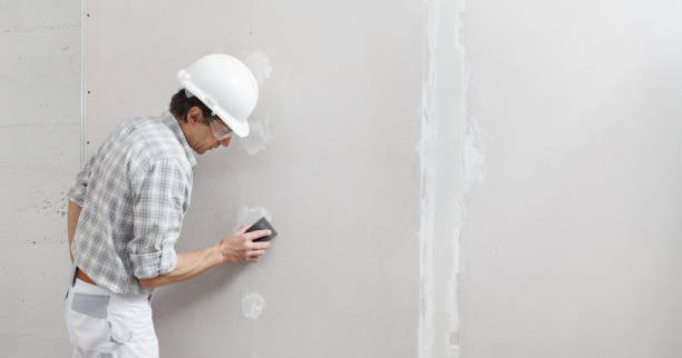 Best Commercial Painting  in Iola, WI